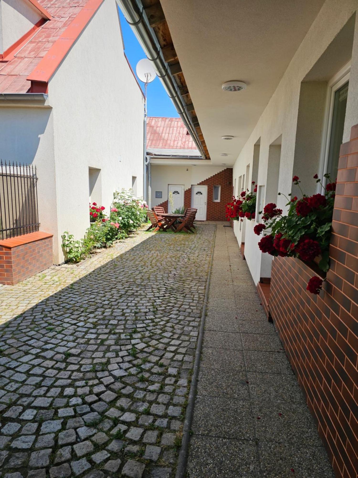 Apartmán Olomouc Exteriér fotografie